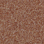 | Autumn Leaf - 50036