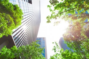 Can Green Buildings Make Us Smarter?