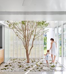 Biophilic Design In Architecture For Health & Tranquility