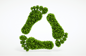 Reducing Embodied Carbon In Building Materials