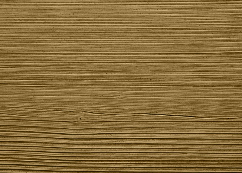 | Beech